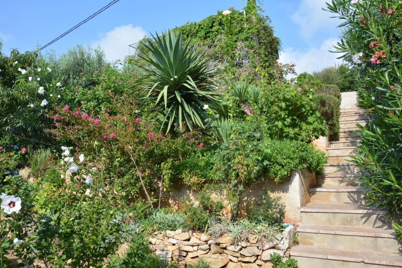Apartments By The Sea Milna, Vis - 8944 Exterior foto